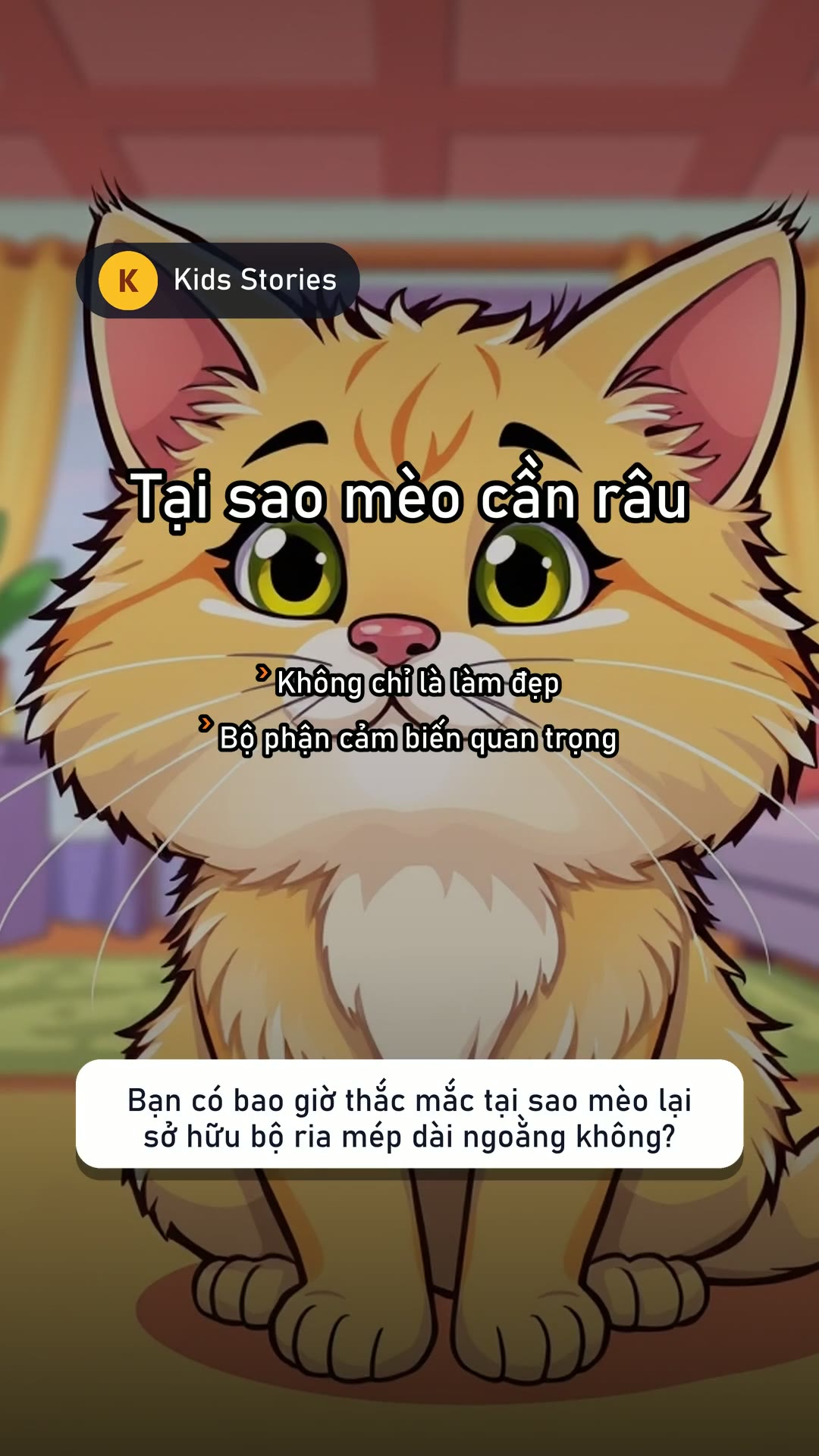 Mèo có râu 9:16